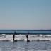 Learning to Surf